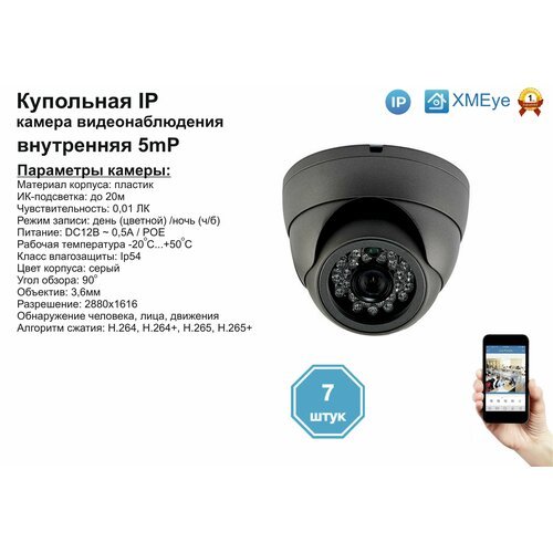 (7шт) DVS300IP5MP(POE). Внутренняя IP камера 5мП с ИК до 20м.
