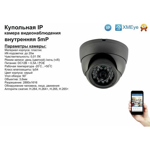 DVS300IP5MP(POE). Внутренняя IP камера 5мП с ИК до 20м.