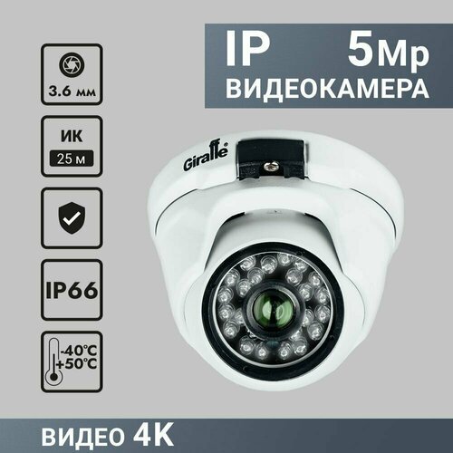 IP камера антивандальная GF-IPVIR4206MP5.0 v2