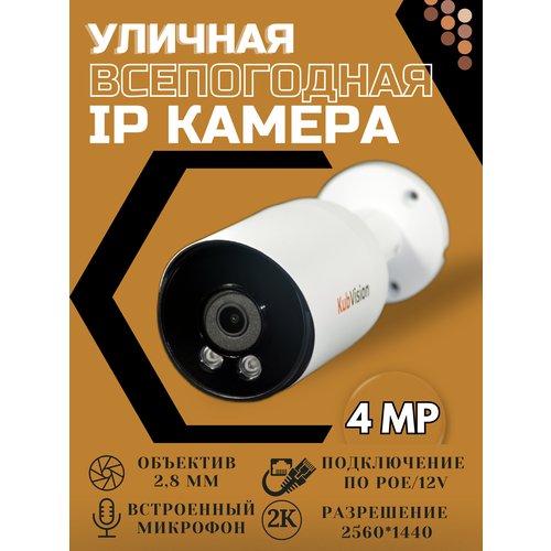 Уличная камера видеонаблюдения IP c POE с микрофоном для видеорегистратора