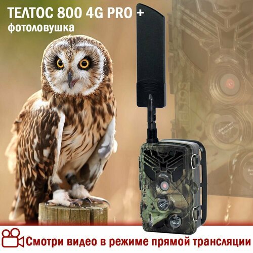 Фотоловушка Телтос 800 MMC 4G PRO 60+ со встроенным аккумулятором для охоты, охраны дома или дачи.