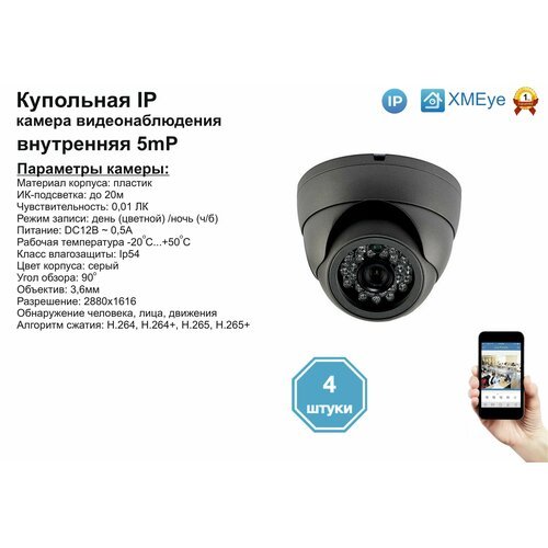 (4шт) DVS300IP5MP. Внутренняя IP камера 5мП с ИК до 20м.