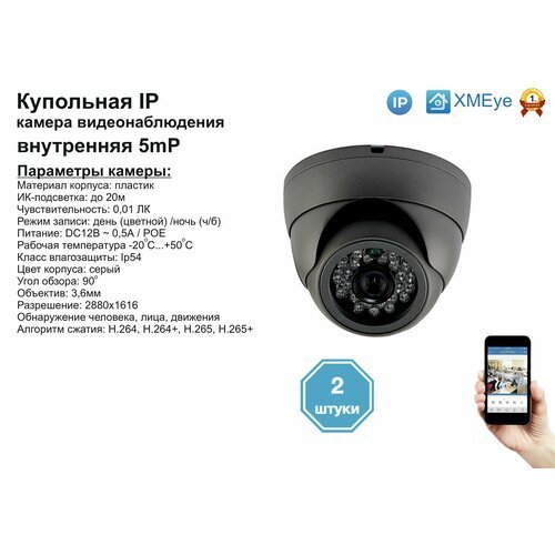 (2шт) DVS300IP5MP(POE). Внутренняя IP камера 5мП с ИК до 20м.